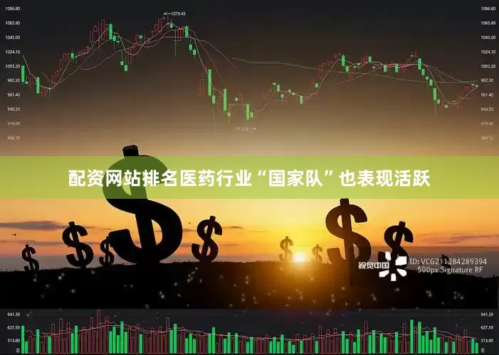 配资网站排名医药行业“国家队”也表现活跃