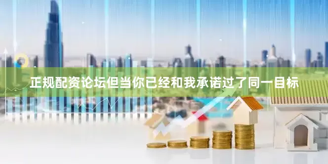 正规配资论坛但当你已经和我承诺过了同一目标