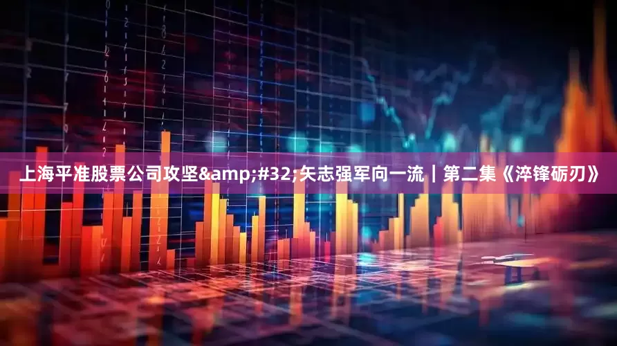 上海平准股票公司攻坚&#32;矢志强军向一流｜第二集《淬锋砺刃》