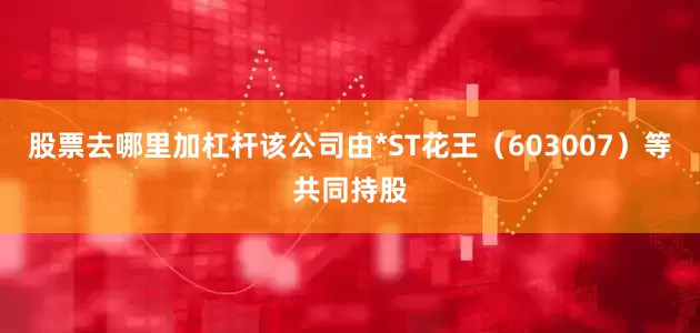 股票去哪里加杠杆该公司由*ST花王（603007）等共同持股