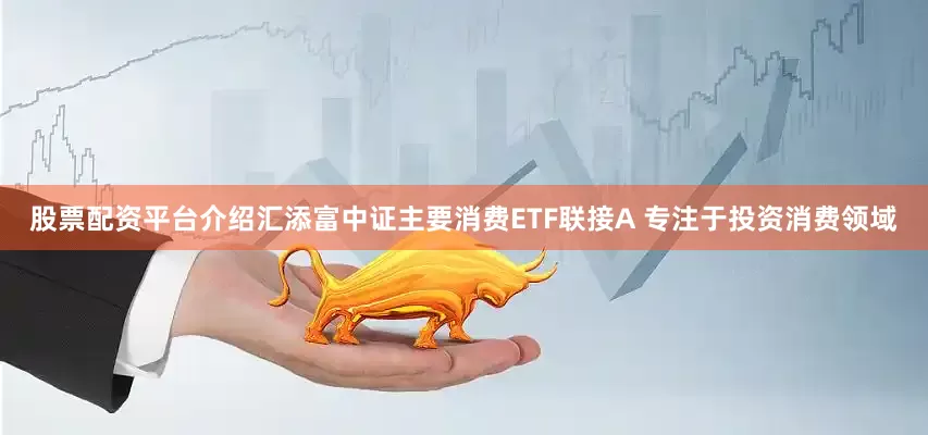 股票配资平台介绍汇添富中证主要消费ETF联接A 专注于投资消费领域